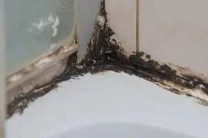 prevent mold in the bathroom
