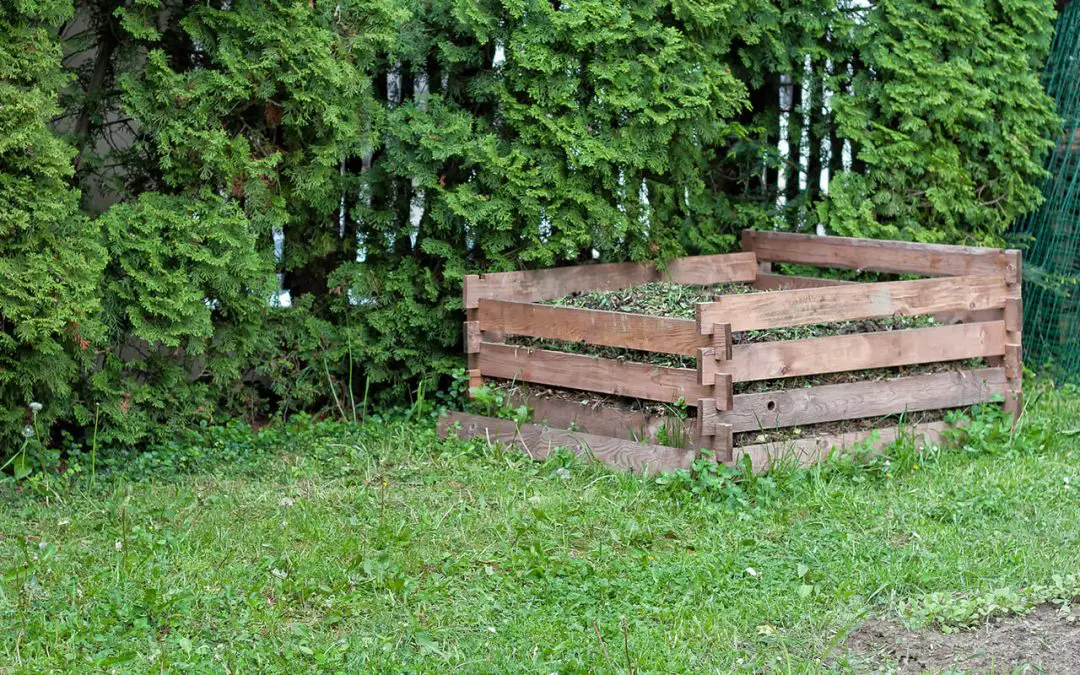 Composting at Home: Turning Waste into Garden Gold