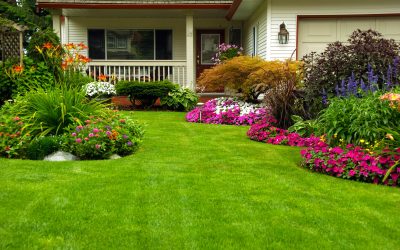 Low-Maintenance Landscaping: 5 Tips to Make Your Summer Easier