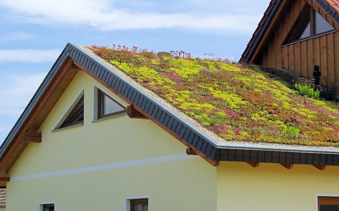 10 Eco-Friendly Home Improvements for a Greener Future