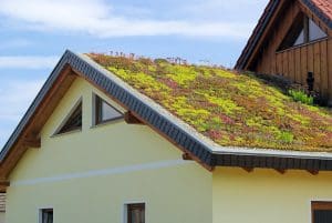 eco-friendly home improvement
