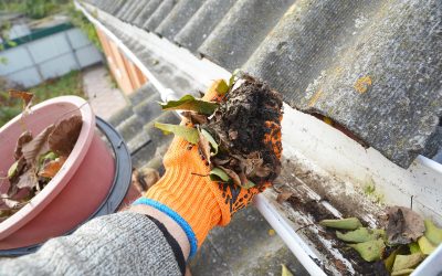 How to Clean Your Home’s Gutters: A Step-by-Step Guide