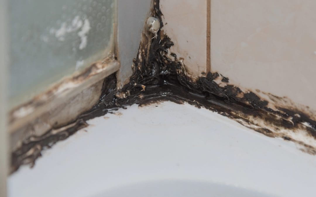 prevent mold in the bathroom