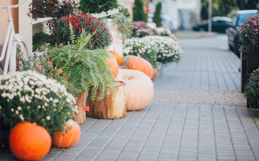 fall house cleaning